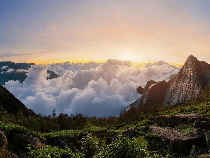 Bị bao phủ trong sương mù, Munnar của Kerala thu hút những người yêu thích du lịch Munnar của Kerala thu hút những người yêu thích du lịch.